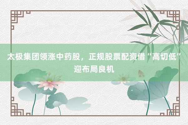 太极集团领涨中药股，正规股票配资借“高切低”迎布局良机