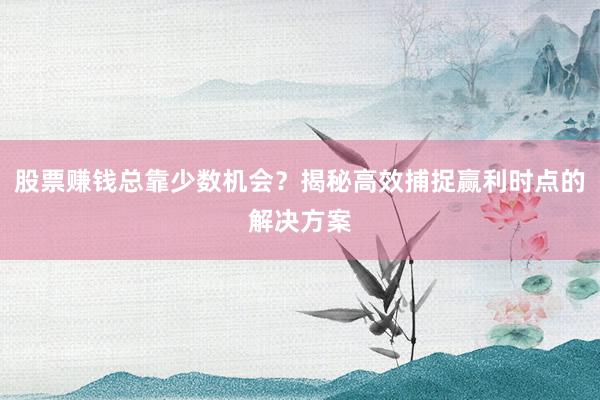 股票赚钱总靠少数机会？揭秘高效捕捉赢利时点的解决方案