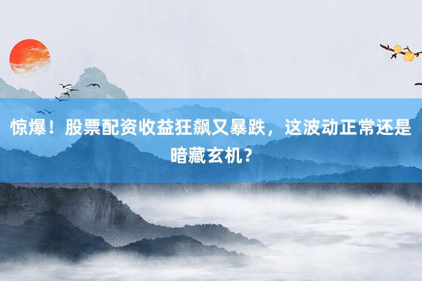 惊爆！股票配资收益狂飙又暴跌，这波动正常还是暗藏玄机？